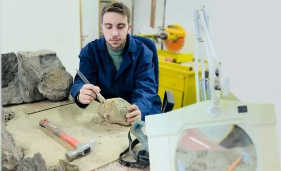 Estudian un reptil marino de gran tamaño hallado en el norte neuquino | Información General