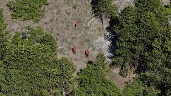 Buscan desesperadamente a un turista inglés en el Parque Nacional Lanín | Información General