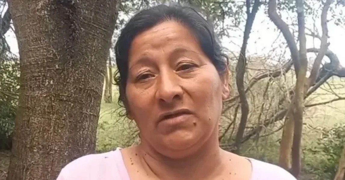 Caso Loan: Laudelina apeló el procesamiento por la presunta sustracción y ocultamiento de su sobrino | Información General