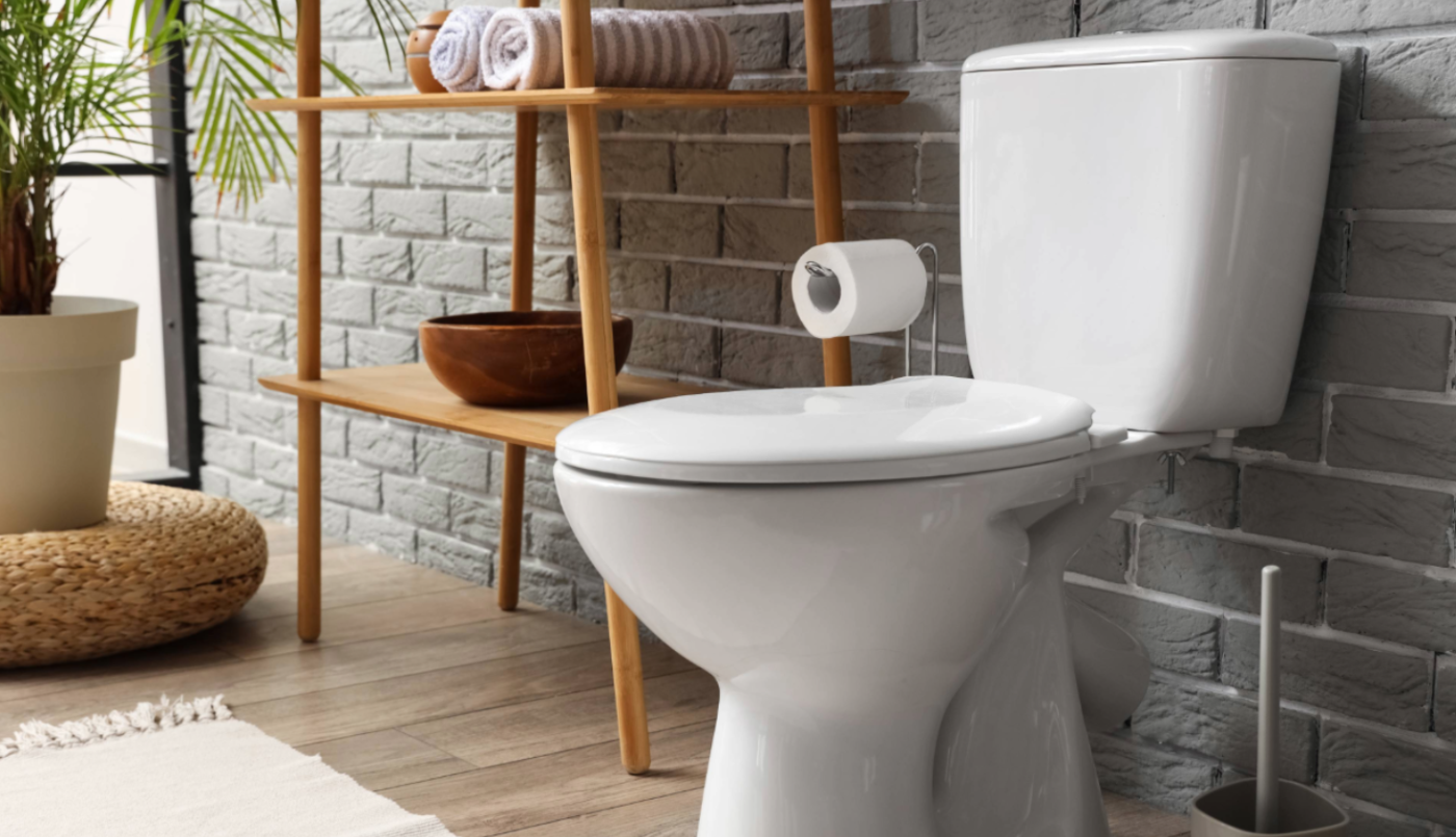 El inodoro, "un lugar de paz": el proyecto de una diputada bonaerense | Política y Economía