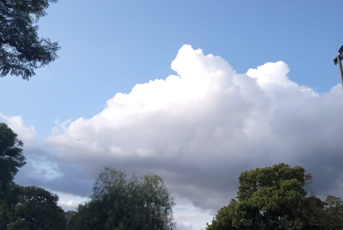 Calor y nubes marcan el inicio del fin de semana | Rosario y la región