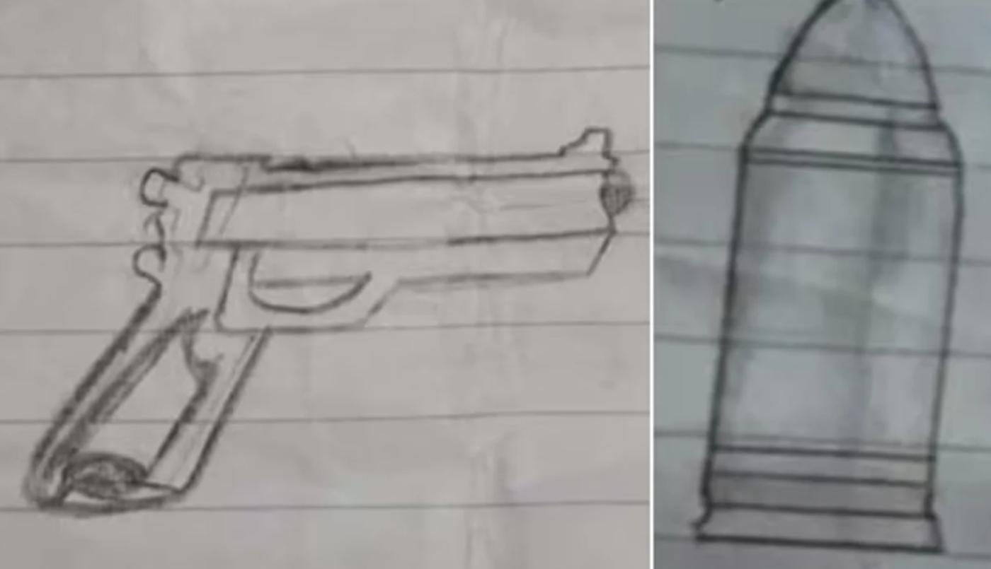 "Se van a arrepentir de llamarme rara”, una nena de 12 años fue con un arma a la escuela en Florencio Varela | Información General