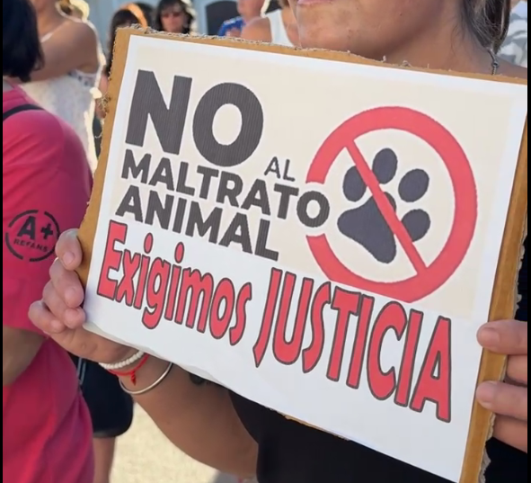 Horror en Laboulaye: brutal asesinato de un perro desata indignación y protestas | Información General