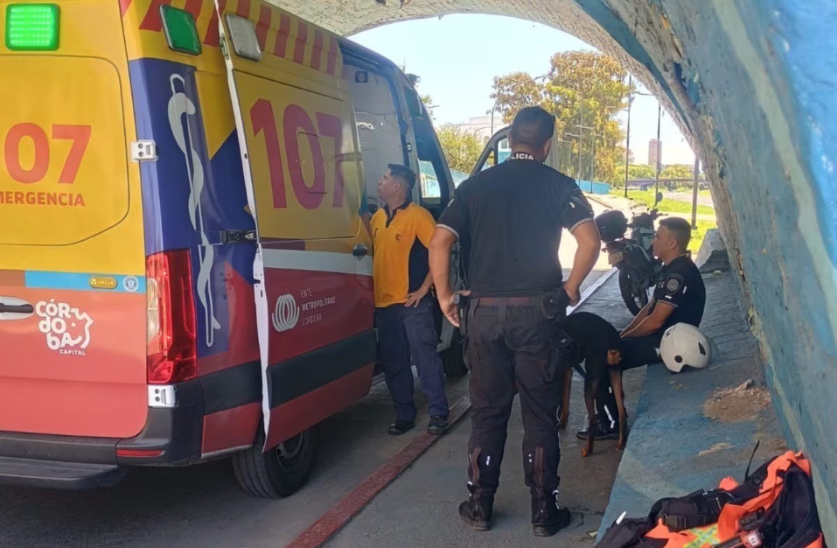 Video: un perro cayó al río, su dueño se lanzó a salvarlo y los arrastró la corriente | Información General