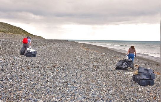 Recolectan más de 100 kilos de basura de una playa argentina | Información General