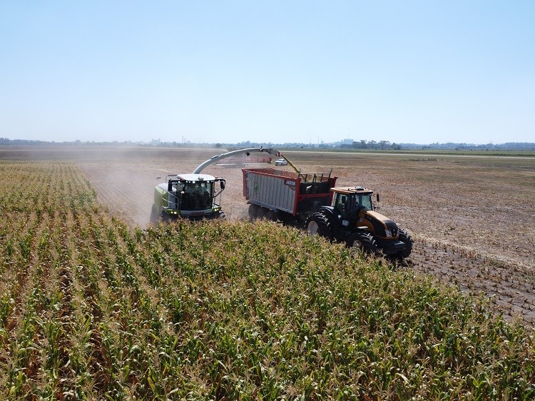 Santa Fe: preocupación por la presión fiscal nacional sobre la producción agrícola | Rosario y la región