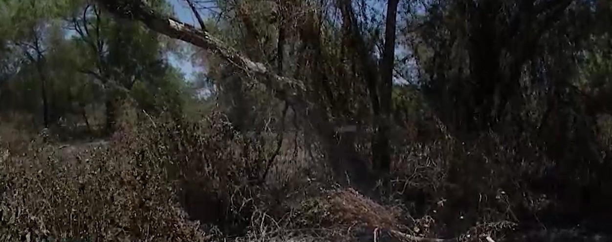 Fuego en las Islas de los Mástiles bajo control: continúa el monitoreo de puntos calientes | Rosario y la región