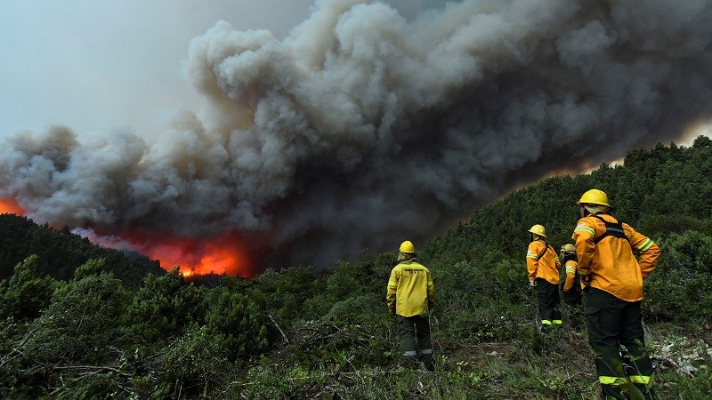 El incendio en el Parque Nacional Nahuel Huapi no da tregua: ya se consumieron más de 3.500 hectáreas | Información General