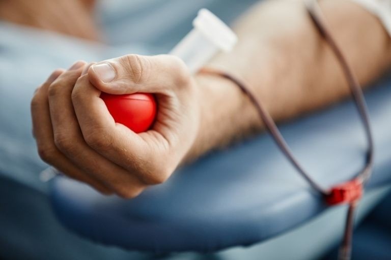 Más de 6.000 personas donaron sangre en la provincia durante 2024 | Rosario y la región