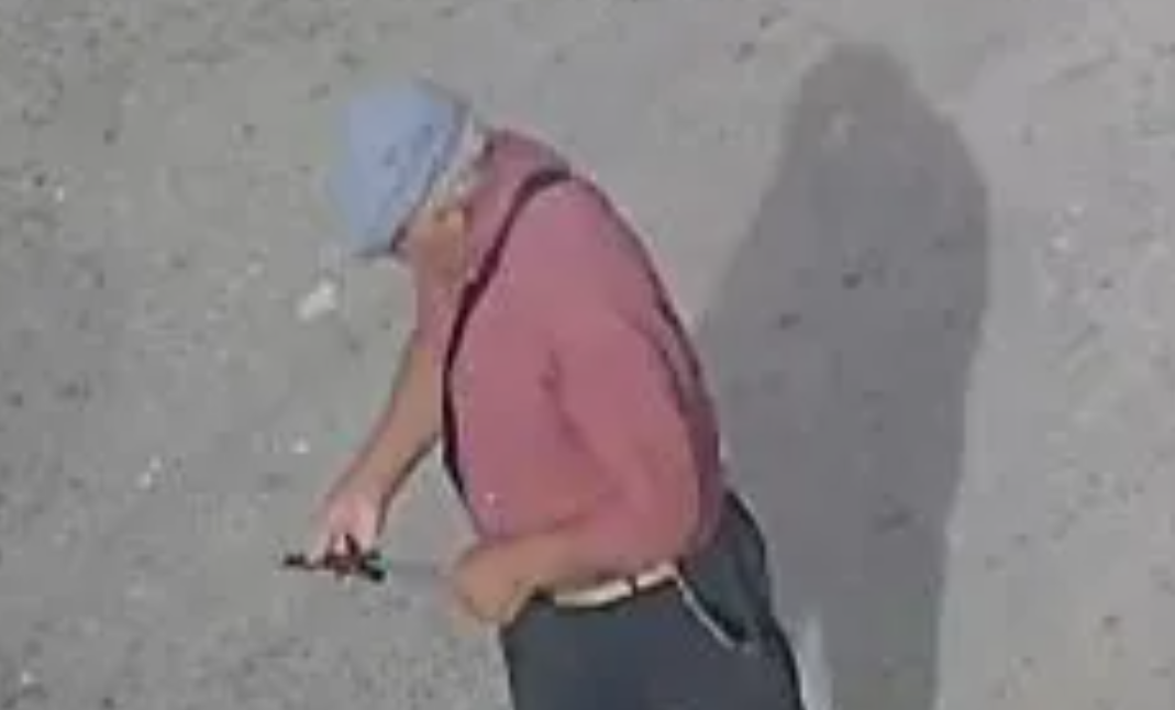 Detuvieron a un hombre de 70 años por matar a un perro de una puñalada | Información General