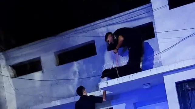 Rescataron a un perro que pasó cinco días en el techo de una casa sin agua ni comida | Rosario y la región