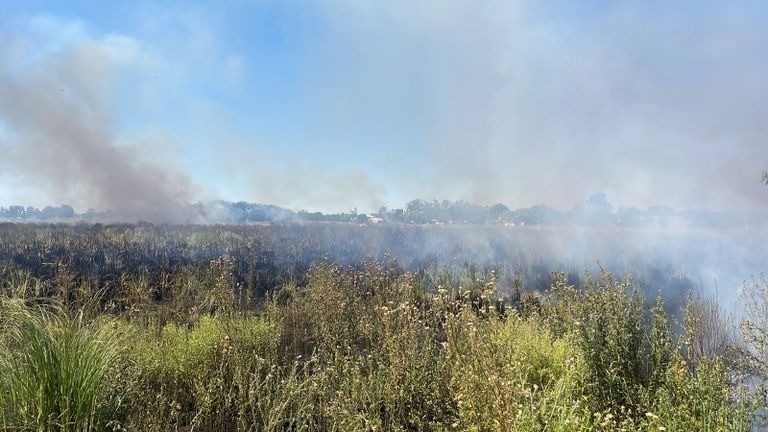 Los Bomberos Zapadores lograron controlar las llamas de una quema de pastizales en la zona norte | Rosario y la región