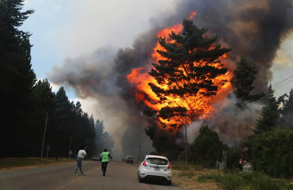 Confirmaron que el incendio en Epuyén fue intencional: destruyó más de 3000 hectáreas de bosque nativo | Información General