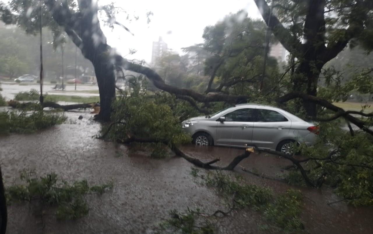 Las fuertes consecuencias que dejó la tormenta: inundaciones, granizo y árboles caídos | Rosario y la región