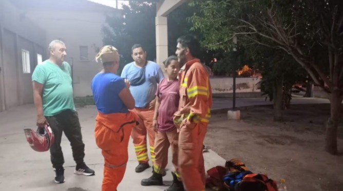 Bomberos fueron atacados por un enjambre de abejas mientras rescataban a una cabra | Información General