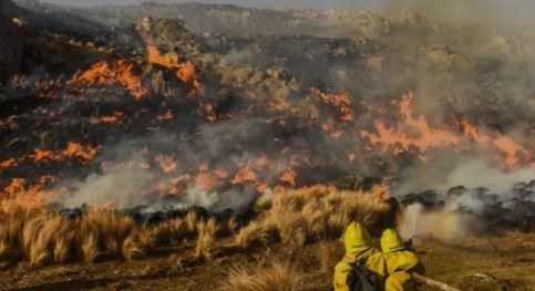 Incendios en Corrientes: tres localidades con focos activos | Información General