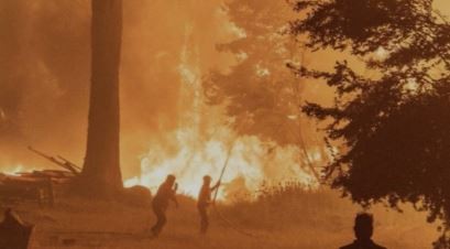 El Gobierno propone endurecer penas por incendios intencionales | Política y Economía