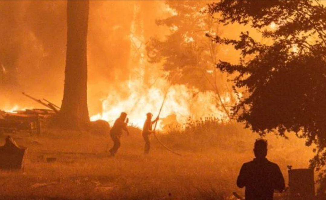 Incendios en la Patagonia: el Gobierno los atribuyó a "terroristas disfrazados de mapuches" | Política y Economía