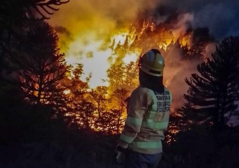 Brigadistas santafesinos continúan combatiendo los incendios en la Patagonia | Rosario y la región