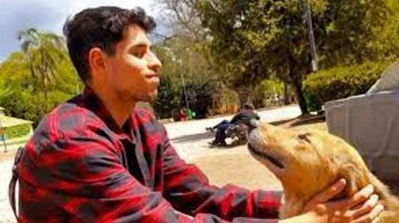 Creó una app para buscar mascotas perdidas que ya se usa en la Patagonia por los incendios | Información General