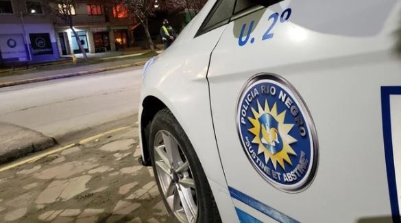 Horror en Bariloche: una mujer le pateó la cabeza a un bebé de cinco meses y quedó detenida | Información General