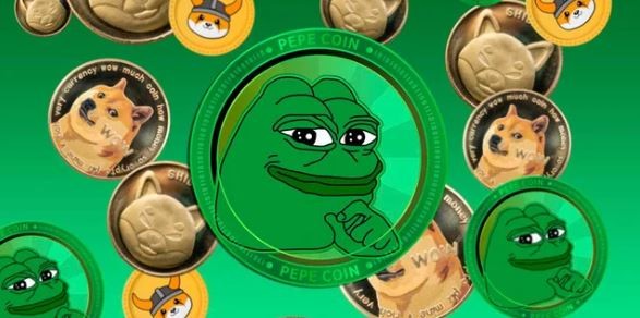 Las "meme coins", una inversión con poca información y alto riesgo | Política y Economía