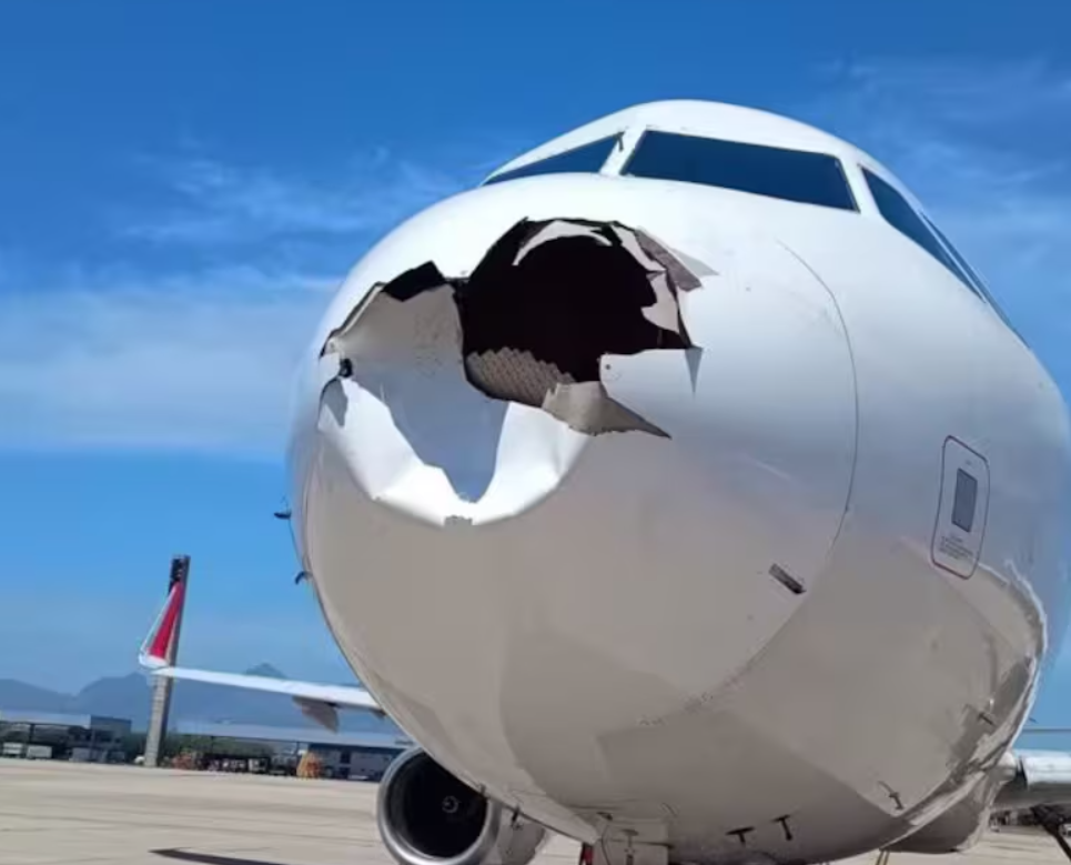 Un avión chocó contra un pájaro tras despegar y tuvo que volver al aeropuerto | Internacionales