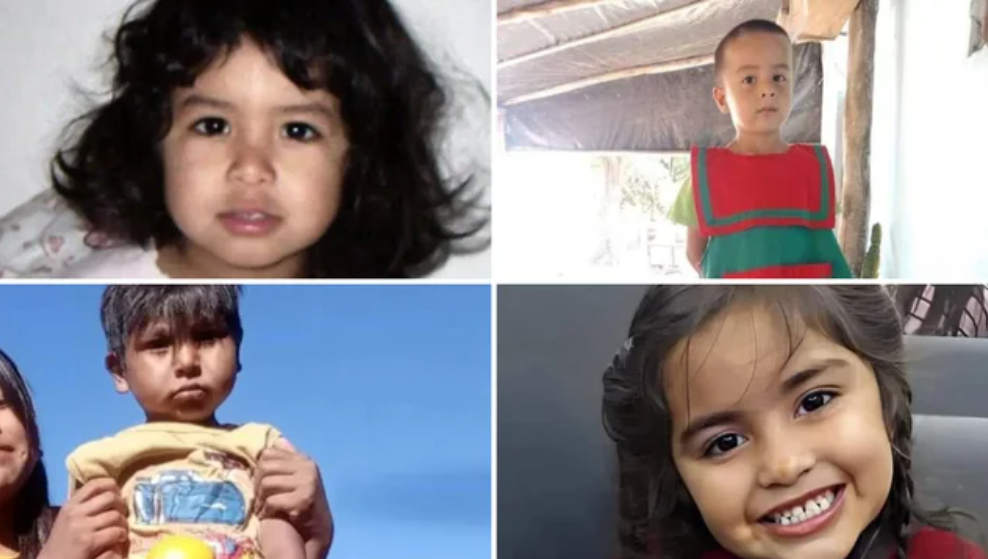 Cuántas veces se activó el Alerta Sofía en la Argentina | Información General