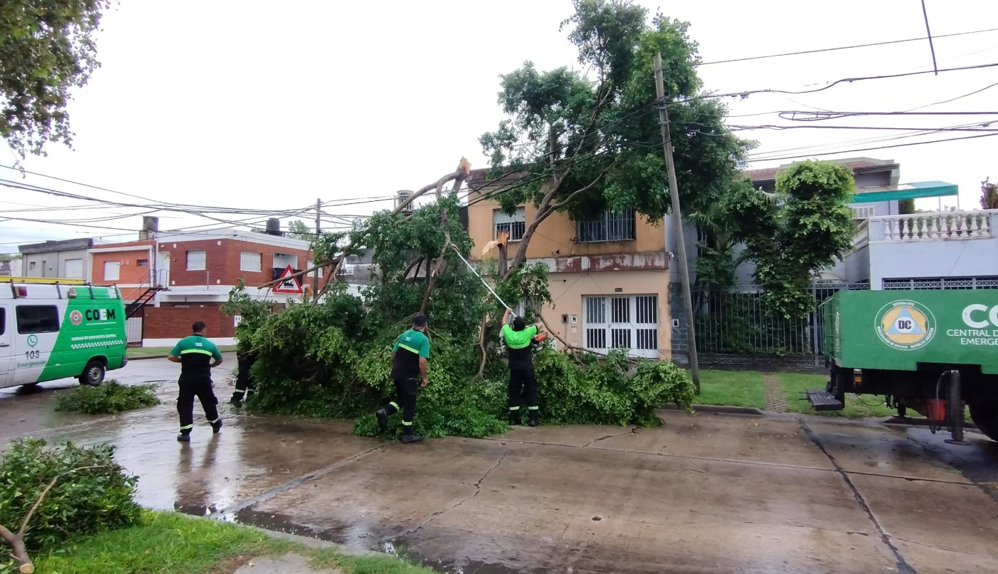 Consecuencias de la tormenta: cayó una rama de gran porte sobre un tendido eléctrico | Rosario y la región