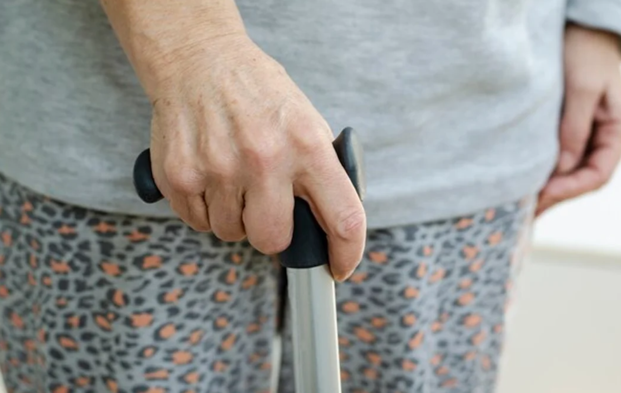 "Me apuntaron con un arma y me taparon la cara con una frazada”, declaró una jubilada a la cual le robaron en La Plata | Información General