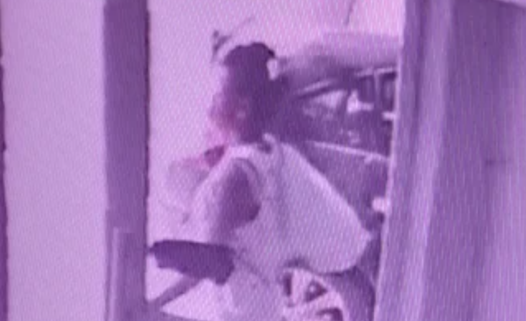 Detuvieron a la mujer que arrojó a su bebé en un contenedor | Información General