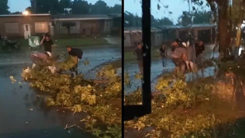 Un motociclista sufrió una grave herida por la caída de un árbol en barrio 17 de Agosto | Rosario y la región