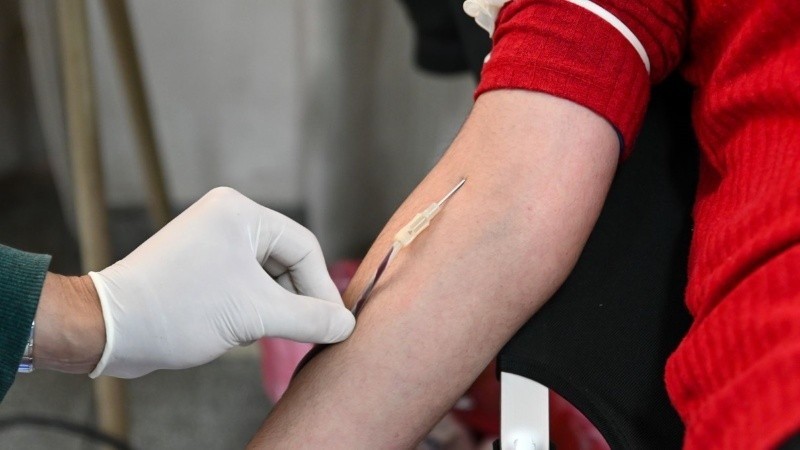 Donación de médula ósea: en Santa Fe hay 34 mil potenciales donantes inscriptos en Registro Nacional | Rosario y la región