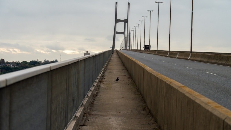 Exigen un pasafauna en el puente Rosario-Victoria | Rosario y la región