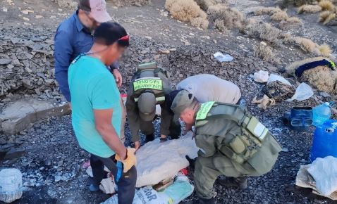 Neuquén: hallan los restos fósiles de un "ictiosaurio" | Información General