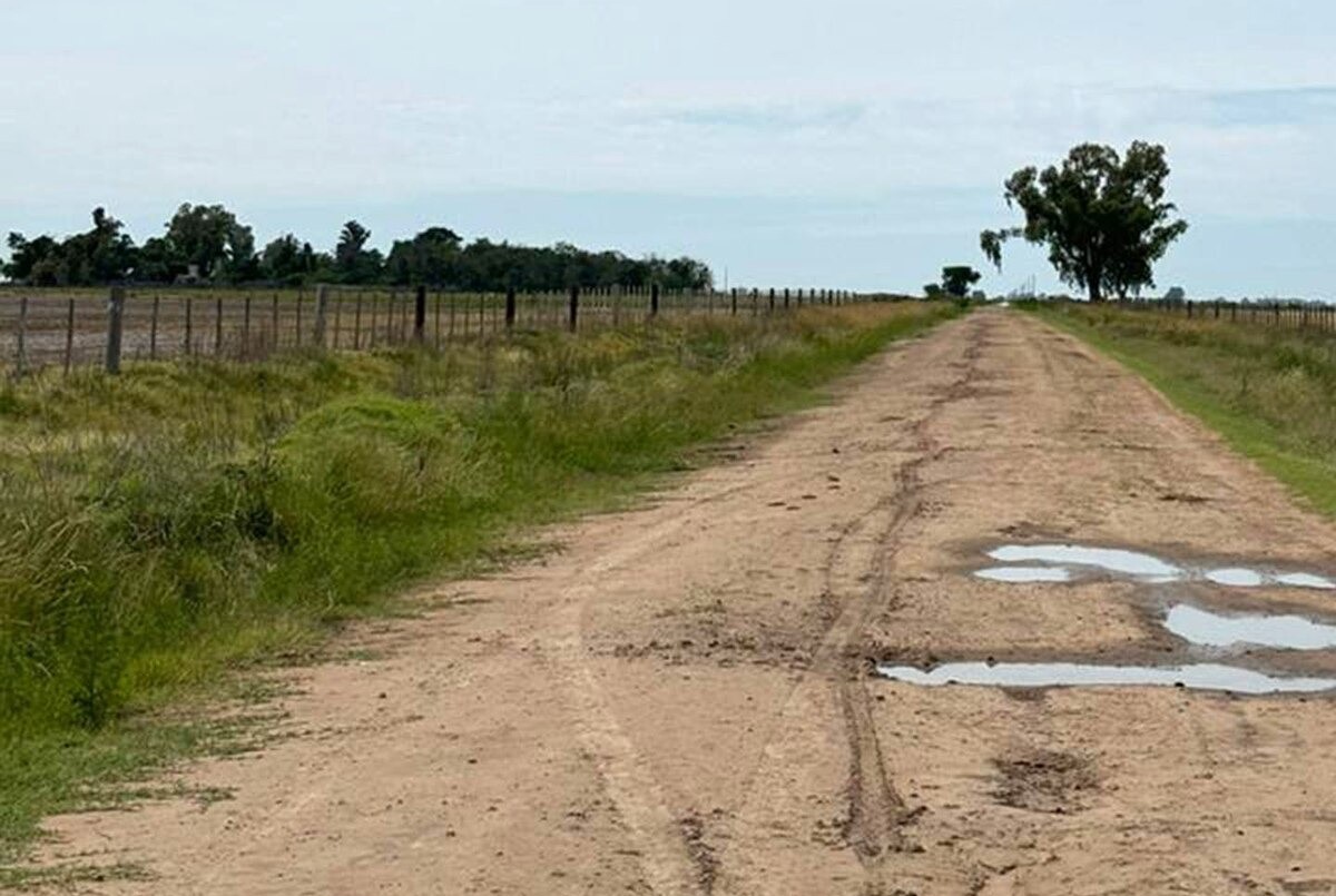 Santa Fe: los municipios deberán demostrar mejoras en caminos rurales para cobrar tasas | Rosario y la región