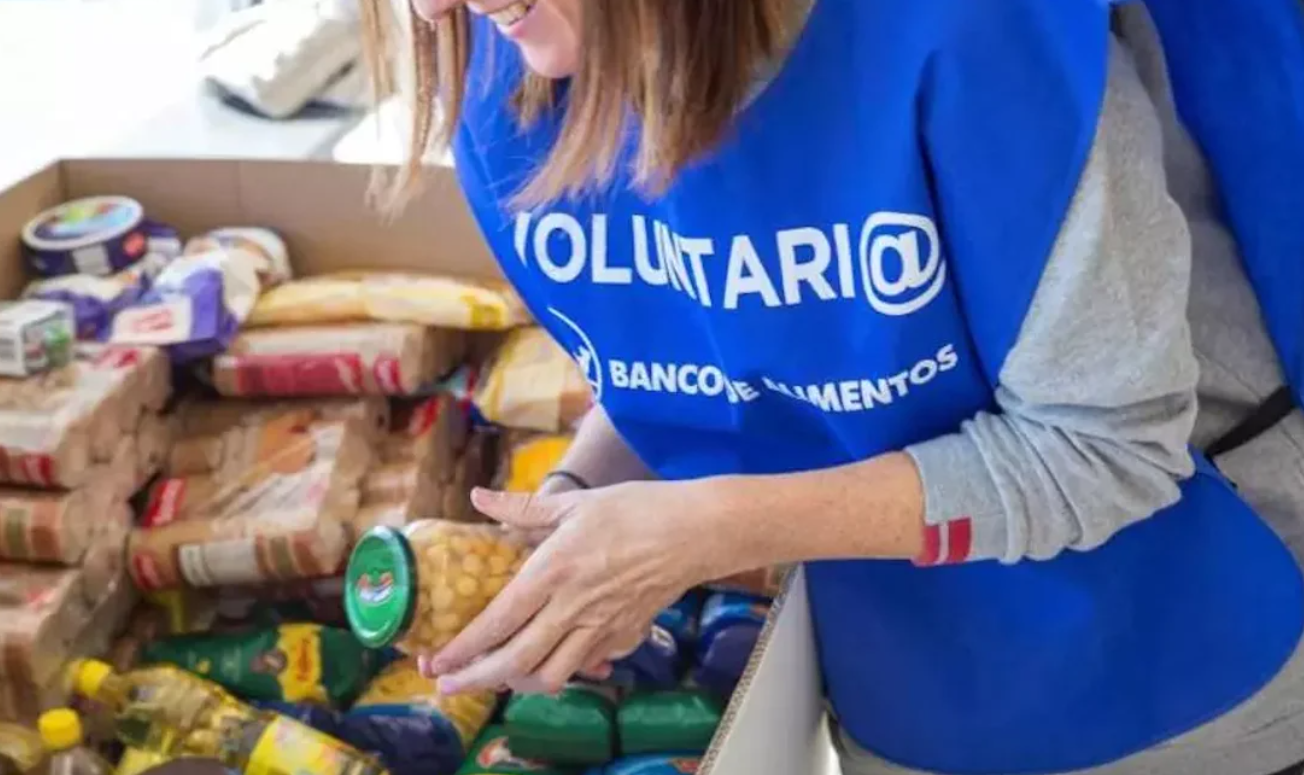 Se desechan más de 16 toneladas de alimentos por año: proponen una ley para frenar el desperdicio de comida | Información General