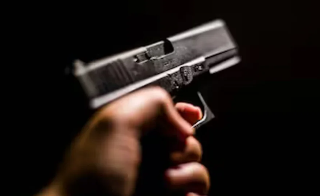 El Gobierno Nacional flexibilizó la regulación de armas semiautomáticas | Política y Economía