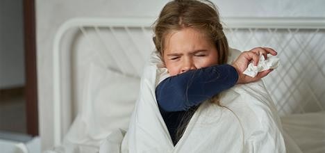 Desarrollan en Argentina una innovadora vacuna nasal contra la tos convulsa | Información General