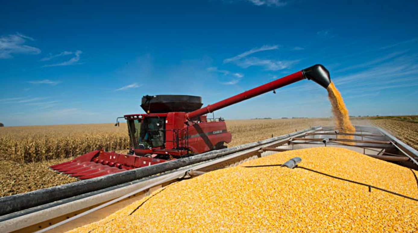 El Gobierno volvió a subir las retenciones a la soja y al maíz | Política y Economía