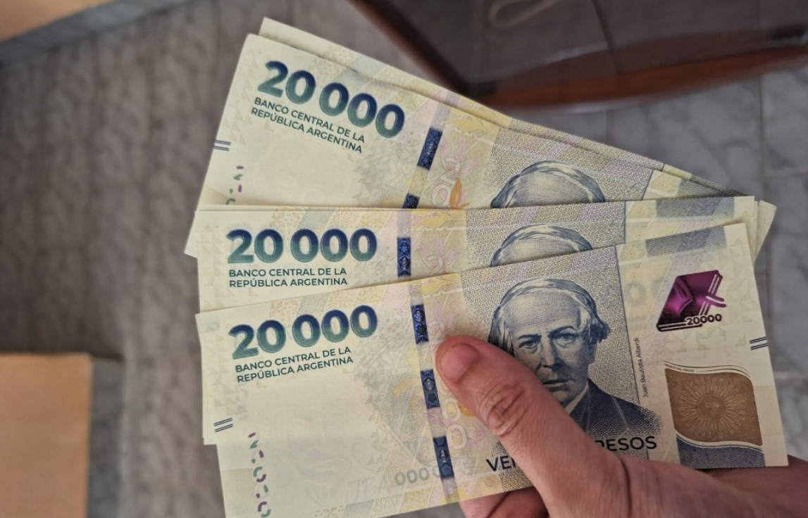 "Argentum": presentaron un proyecto de ley para cambiar la moneda y sacarle varios ceros | Política y Economía