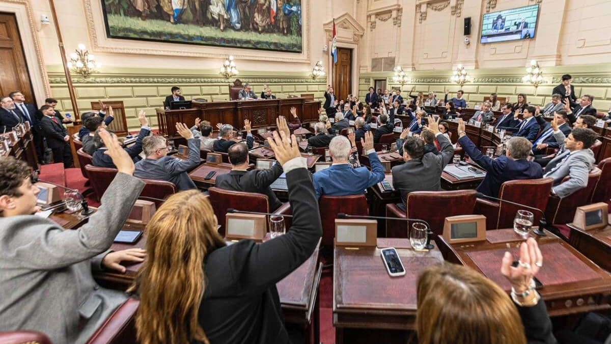 Reforma constitucional: ciudadanos y convencionales ya pueden presentar proyectos para modificar la Carta Magna | Política y Economía