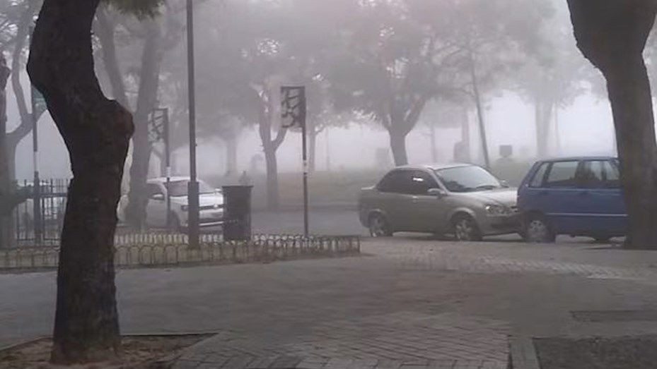 Tiempo en Rosario: mañana con niebla y bajas temperaturas | Rosario y la región