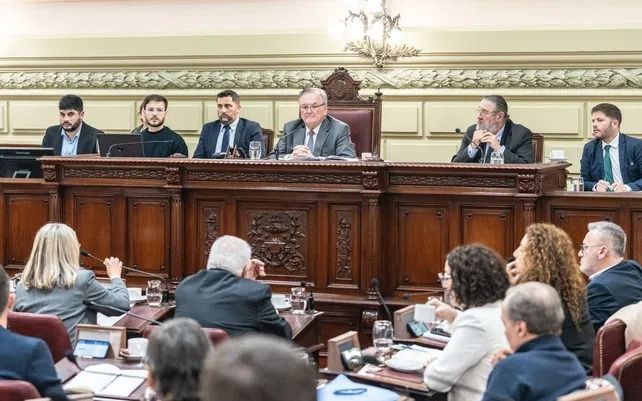 Verónica Colombo reemplazará a la “Locomotora” en la Convención Constituyente | Política y Economía