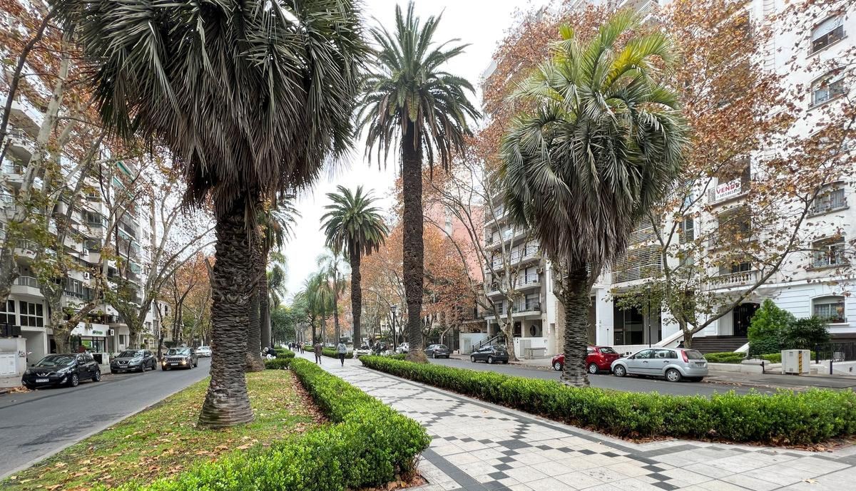 Tiempo en Rosario: frío al amanecer y una tarde templada que alivia el invierno | Rosario y la región