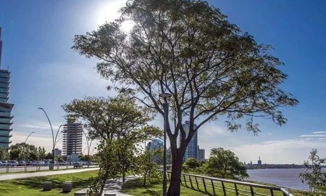 Tiempo en Rosario: mañana invernal, sol a pleno y temperaturas en aumento | Rosario y la región