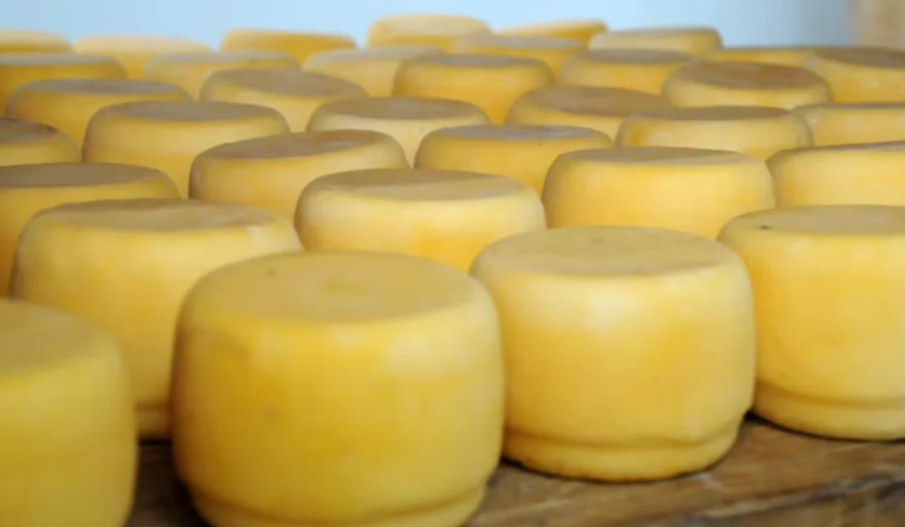 Confirman un brote de listeriosis por el consumo de un queso contaminado | Información General