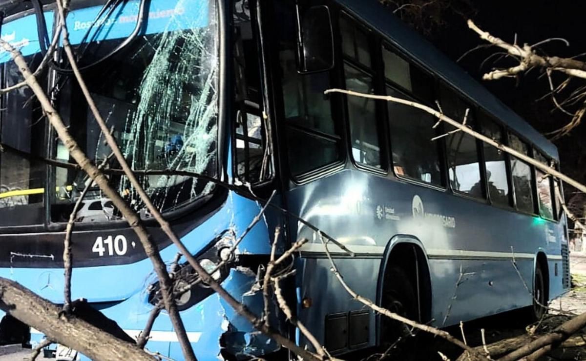 Un colectivero se desmayó, derribó un árbol y colisionó contra un edificio | Rosario y la región