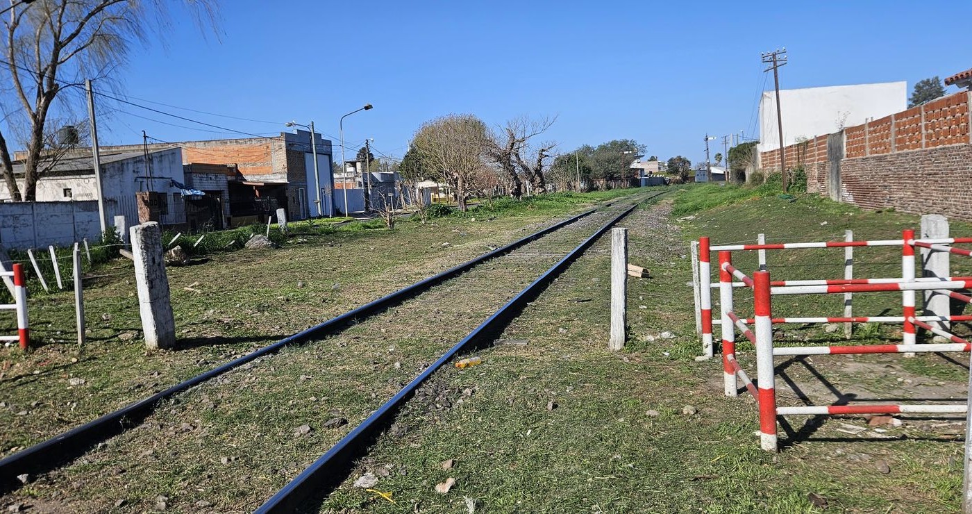 Intentó salvar a su perro y falleció tras ser atropellada por un tren | Rosario y la región