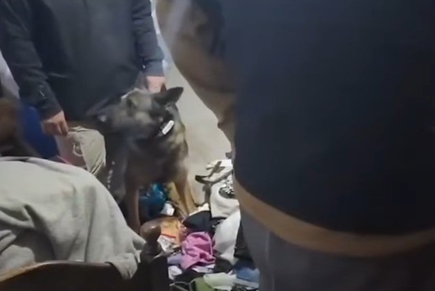 Rosario: 18 allanamientos por microtráfico deja 12 detenidos | Rosario y la región